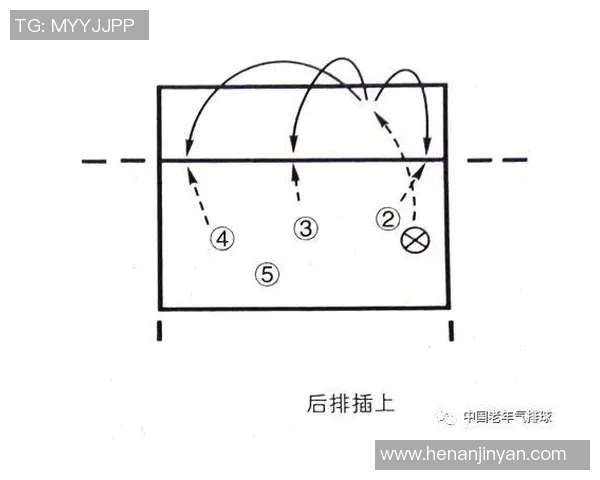 成都排球队的战术演变与技术提升深度解析